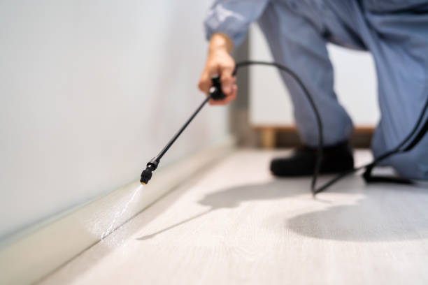 Licensed Pest Control service in Hamshire, TX - Show Me Pest Control