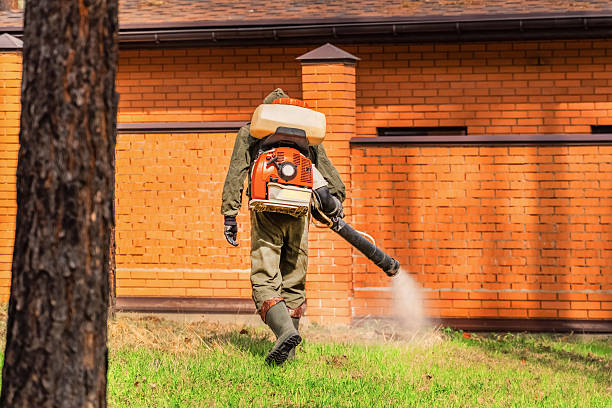 Bed Bug Clearance Verification and Documentation in Hamshire